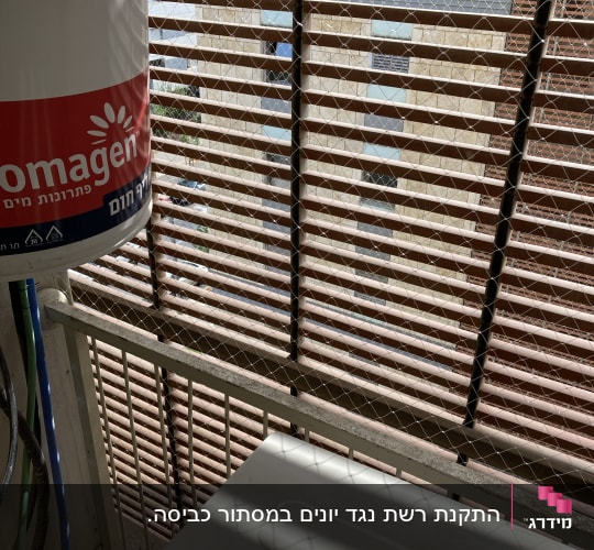רשת מתכת על חלון למניעת כניסת יונים